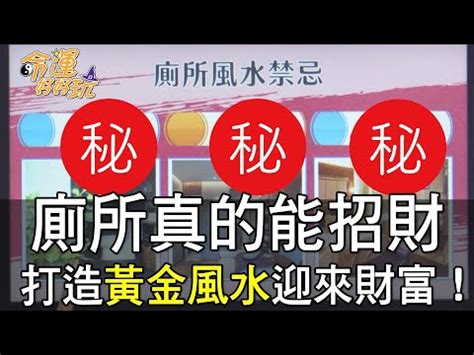 廁所黃金葛風水|廁所黃金葛風水佈局